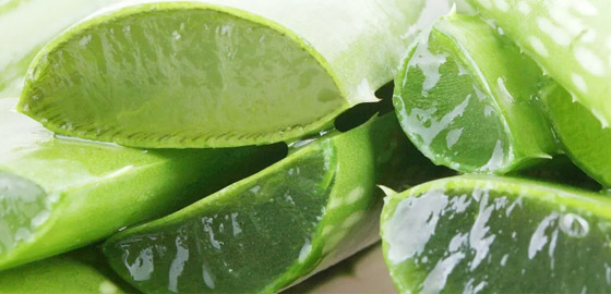 تناولوها في الصباح الباكر.. وصفات مُجربة لفقدان الوزن بسرعة صورة رقم 4 تناولوها في الصباح الباكر.. وصفات مُجربة لفقدان الوزن بسرعة صورة رقم 4