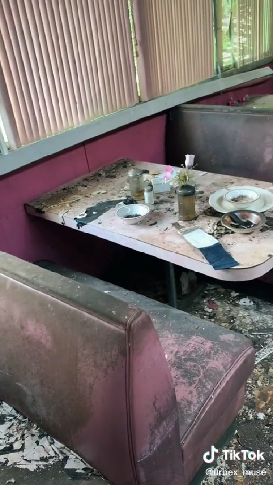 مطعم مهجور منذ 70 عاماً يحظى بشعبية على تيك توك صورة رقم 4