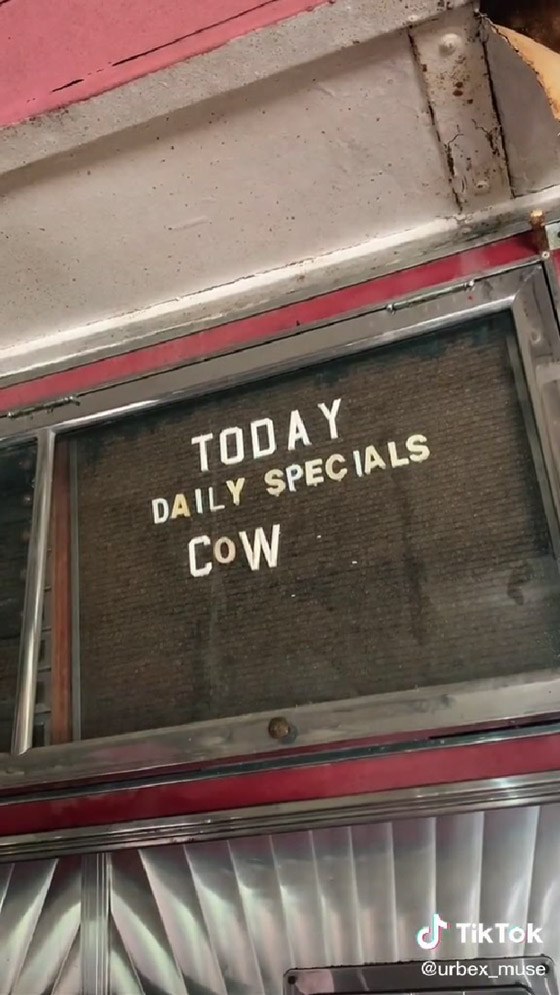 مطعم مهجور منذ 70 عاماً يحظى بشعبية على تيك توك صورة رقم 8