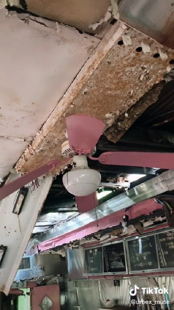 مطعم مهجور منذ 70 عاماً يحظى بشعبية على تيك توك صورة رقم 9