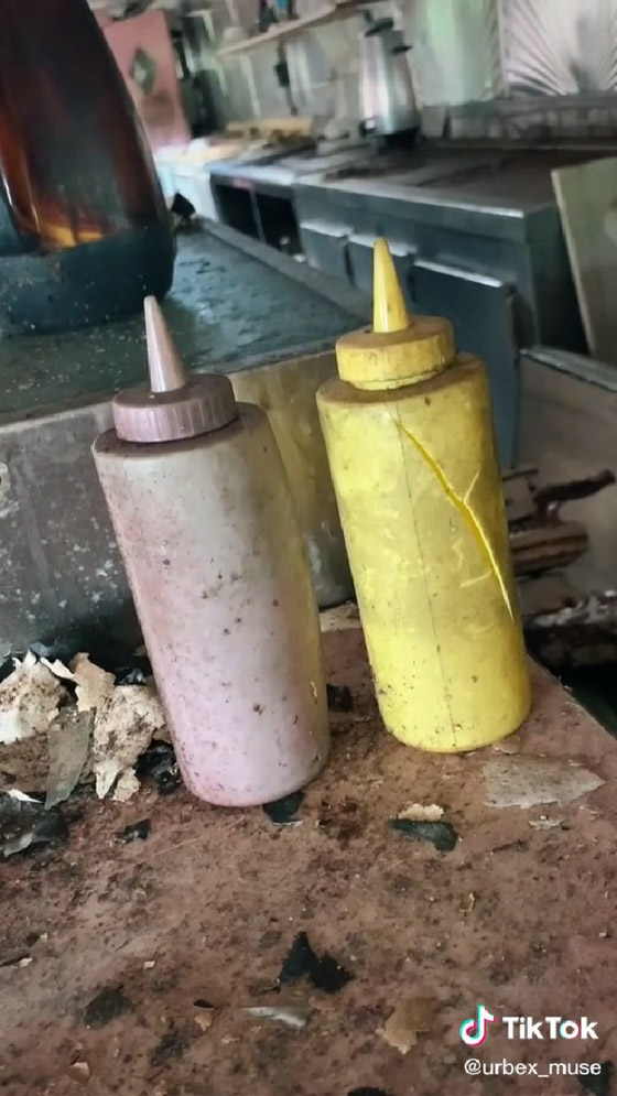 مطعم مهجور منذ 70 عاماً يحظى بشعبية على تيك توك صورة رقم 10