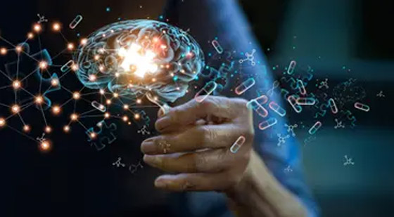 ما علاقة دهون البطن بألزهايمر؟.. دراسة تفجر مفاجأة صورة رقم 5