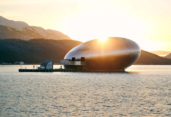 فقاعة كبيرة تطفو على الماء وسط اللامكان في النرويج.. ما سرها؟ صورة رقم 4