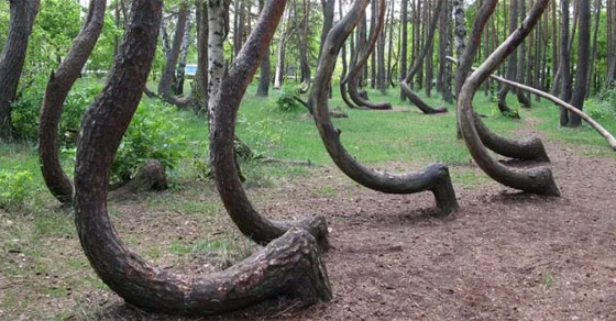 8 أماكن غامضة على الأرض تدور حولها التساؤلات والأسرار! صورة رقم 4