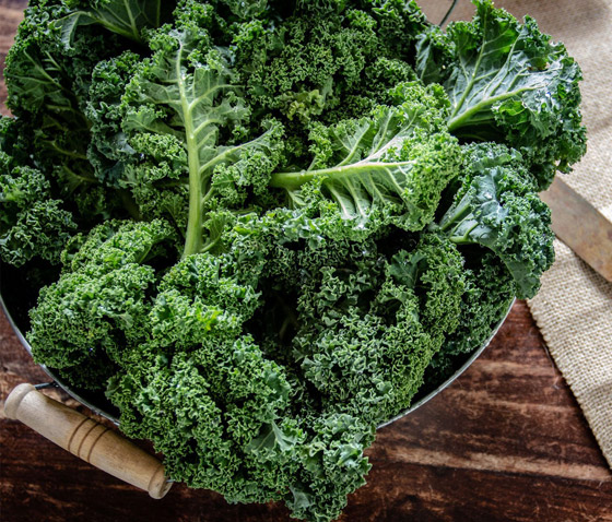 إليكم 5 خضروات تقلل مستويات السكر في الدم صورة رقم 5