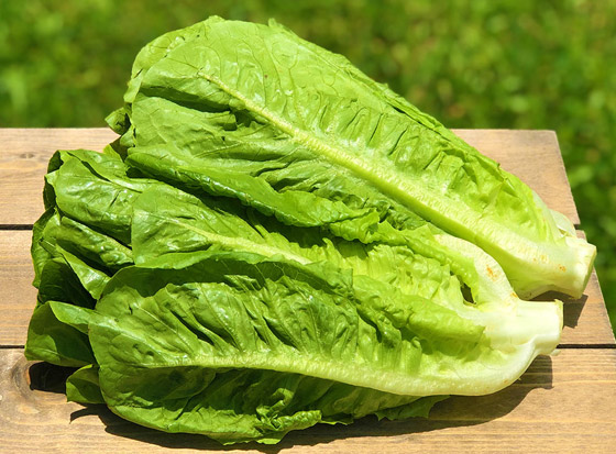 6 خضراوات يجب تناول المزيد منها.. تعرف على الأسباب صورة رقم 6