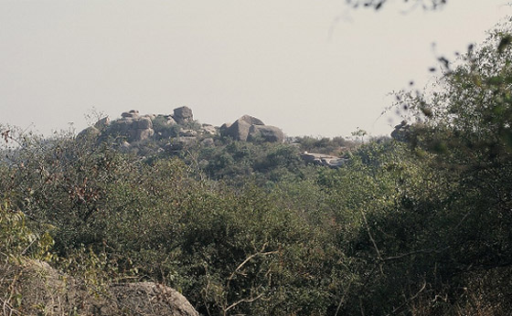 هضبة أوستيورت.. حصن ممتد و«فخ» للفرائس عمره 2000 عام صورة رقم 2