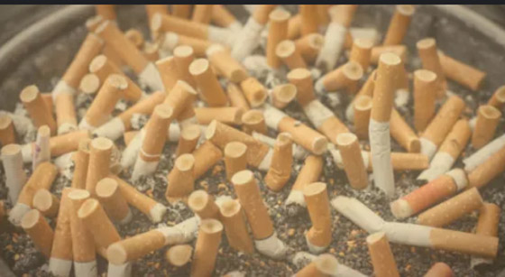 أغرب الضرائب التي فُرضت في الماضي! صورة رقم 10