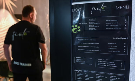 إضاءة خافتة وموسيقى هادئة بعيدة عن النباح.. للكلاب مطعمها أيضا (صور) صورة رقم 14