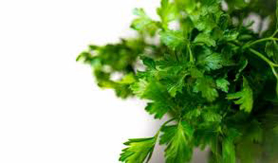 6 فوائد صحية مبهرة للكزبرة... احرص على إضافتها لوجباتك! صورة رقم 7