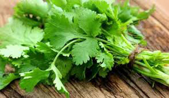 6 فوائد صحية مبهرة للكزبرة... احرص على إضافتها لوجباتك! صورة رقم 8