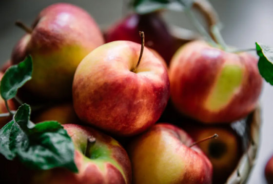 أكثر أنواع الفواكه التي تساعد بإنقاص الوزن.. بعضها مفاجأة مثل المانغو! صورة رقم 1