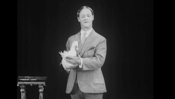 أغرب عروض السيرك في التاريخ! صورة رقم 10