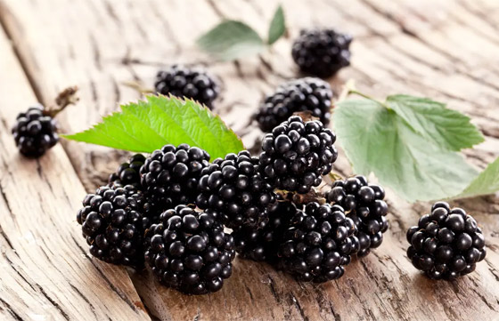 فوائده الصحية رائعة.. هل تعرف النظام الغذائي الأسود؟ صورة رقم 3