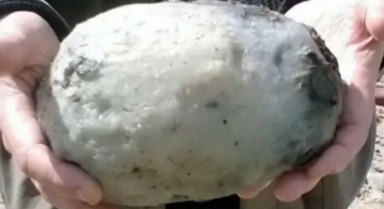 أغرب ما قذفته الأمواج إلى الشواطئ حول العالم! صورة رقم 7