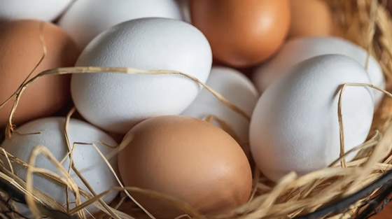 بينها البيض والبطاطا الحلوة.. أطعمة خارقة قد تحسن البصر صورة رقم 2