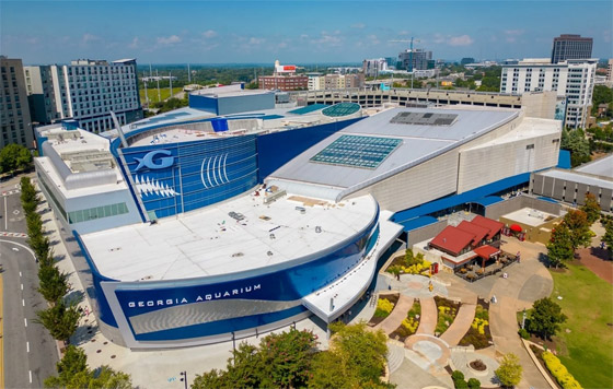 بالصور: رحلة مثالية للعوائل إلى أحواض الأسماك الأكبر في العالم صورة رقم 1