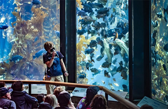 بالصور: رحلة مثالية للعوائل إلى أحواض الأسماك الأكبر في العالم صورة رقم 6