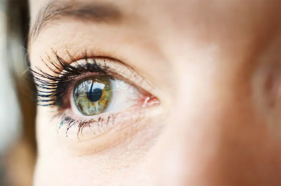 6 علامات تشير إلى وجود أمراض خطيرة وراء تساقط الشعر صورة رقم 2