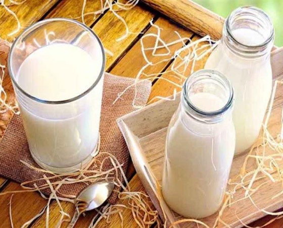 الحليب البقري أم الجاموسي.. أيهما أفضل؟ صورة رقم 6