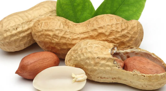 مفاجأة.. 6 أسباب تجعل تناول الفول السوداني في الشتاء مفيدًا صورة رقم 1