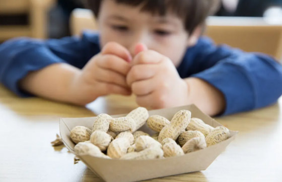 مفاجأة.. 6 أسباب تجعل تناول الفول السوداني في الشتاء مفيدًا صورة رقم 2