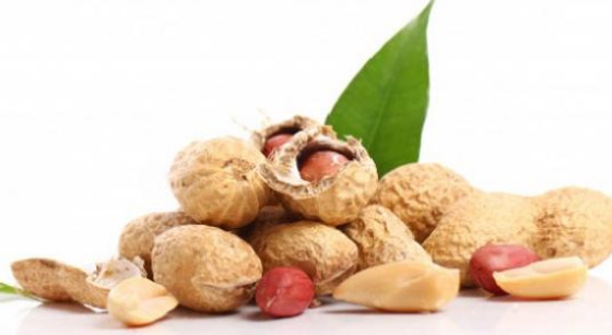 مفاجأة.. 6 أسباب تجعل تناول الفول السوداني في الشتاء مفيدًا صورة رقم 7