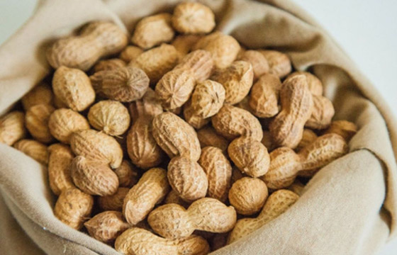 مفاجأة.. 6 أسباب تجعل تناول الفول السوداني في الشتاء مفيدًا صورة رقم 8