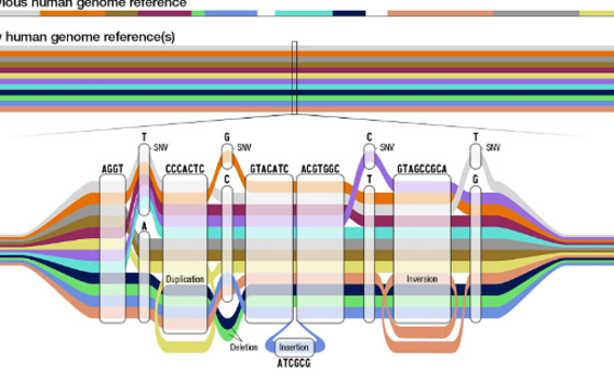 أهم 10 اكتشافات علمية في 2023 صورة رقم 10