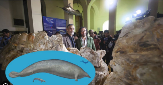 أهم 10 اكتشافات علمية في 2023 صورة رقم 3