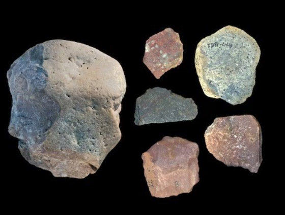 أهم 10 اكتشافات علمية في 2023 صورة رقم 5