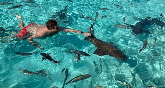 إكسوما.. جنة خاصة للصفوة والأثرياء صورة رقم 1