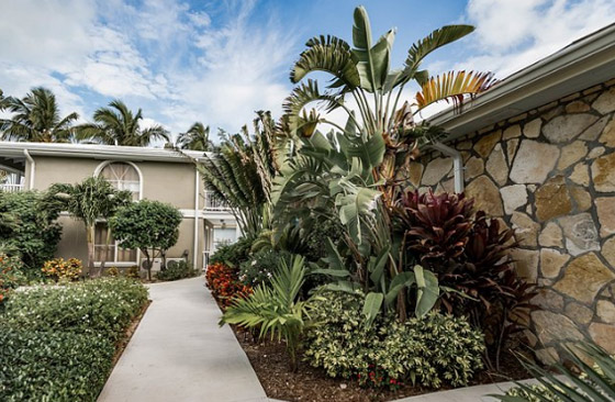 إكسوما.. جنة خاصة للصفوة والأثرياء صورة رقم 4