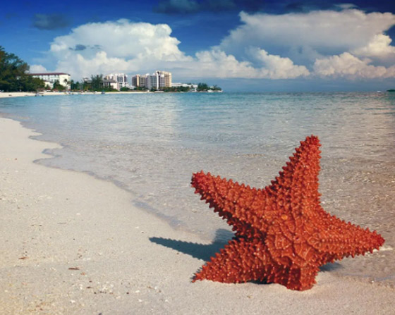 إكسوما.. جنة خاصة للصفوة والأثرياء صورة رقم 5