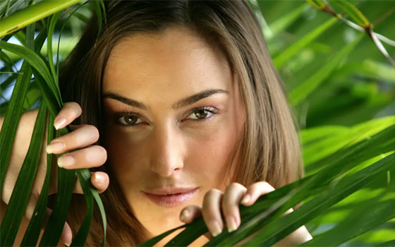 6 أعشاب يمكن أن تعزز الكولاجين بشكل طبيعي وتؤخر ظهور التجاعيد صورة رقم 7