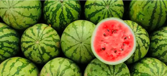 تعرف على فوائد تناول هذه الفواكه السبعة على معدة فارغة صورة رقم 1