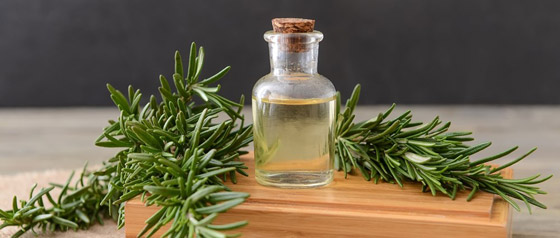 زيت إكليل الجبل.. فوائد جمالية تهم النساء صورة رقم 2