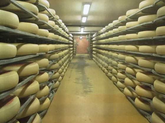 صانع جبن سويسري يشغل الموسيقى لأجبانه لسببٍ غريب! صورة رقم 6