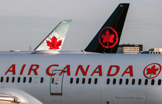 ما هي الحوادث والسلوكيات الأسوأ التي ارتكبها السياح خلال العام 2023؟ صورة رقم 4 ما هي الحوادث والسلوكيات الأسوأ التي ارتكبها السياح خلال العام 2023؟ صورة رقم 4