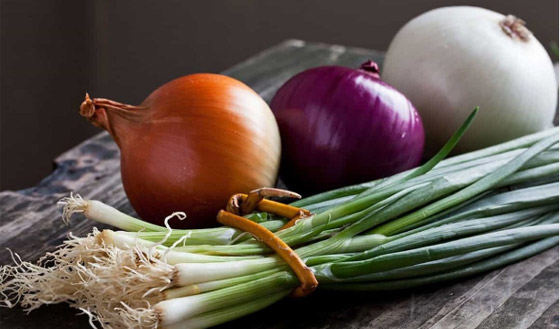 6 فوائد صحية مهمة لتناول البصل النيئ... ما هي؟ صورة رقم 3