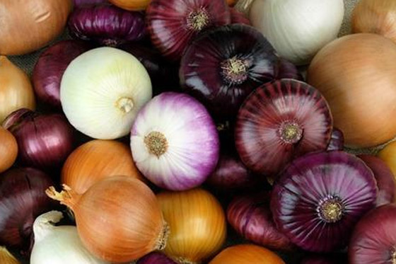 6 فوائد صحية مهمة لتناول البصل النيئ... ما هي؟ صورة رقم 6