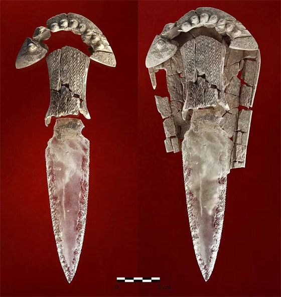 تعرفوا إلى 7 ألغاز تاريخية تمكن العلماء من حلها أخيرا في عام 2023 صورة رقم 1