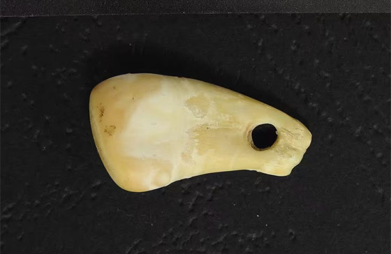 تعرفوا إلى 7 ألغاز تاريخية تمكن العلماء من حلها أخيرا في عام 2023 صورة رقم 4