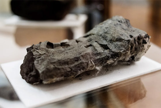 تعرفوا إلى 7 ألغاز تاريخية تمكن العلماء من حلها أخيرا في عام 2023 صورة رقم 5