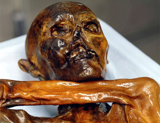 تعرفوا إلى 7 ألغاز تاريخية تمكن العلماء من حلها أخيرا في عام 2023 صورة رقم 3