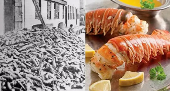 10 أشياء كانت مكروهة قبل 100 عام، لكنها محبوبة وشائعة الآن صورة رقم 2