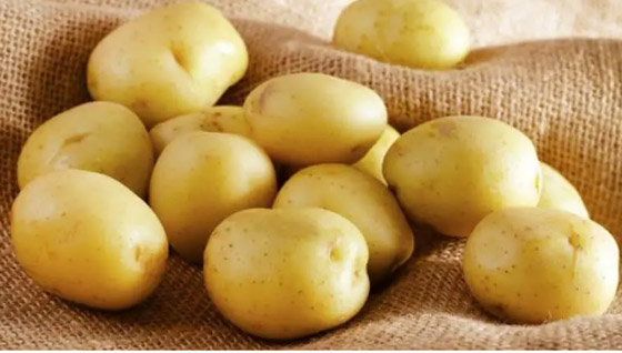 10 أشياء كانت مكروهة قبل 100 عام، لكنها محبوبة وشائعة الآن صورة رقم 5