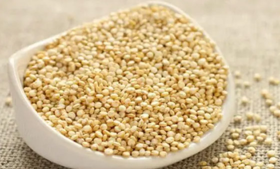 10 أشياء كانت مكروهة قبل 100 عام، لكنها محبوبة وشائعة الآن صورة رقم 8