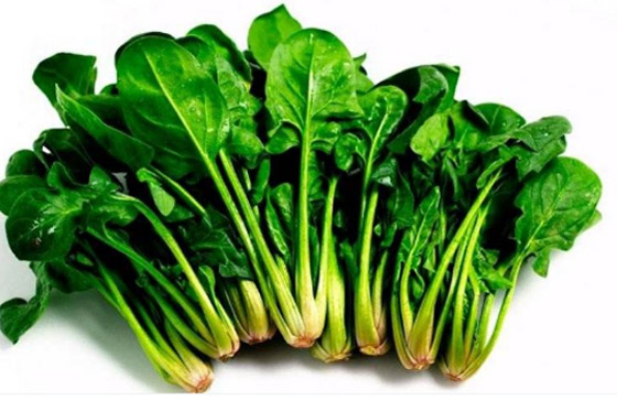 إحداها إنقاص الوزن.. 6 فوائد لتناول السبانخ خلال الشتاء صورة رقم 1