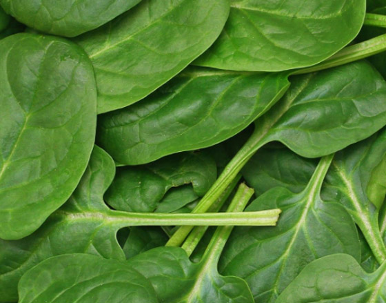 إحداها إنقاص الوزن.. 6 فوائد لتناول السبانخ خلال الشتاء صورة رقم 5